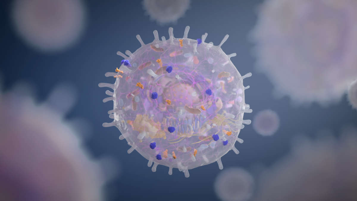 Actome, PICO, QIAcuity, protein quantification, dPCR, digital PCR, co-marketin